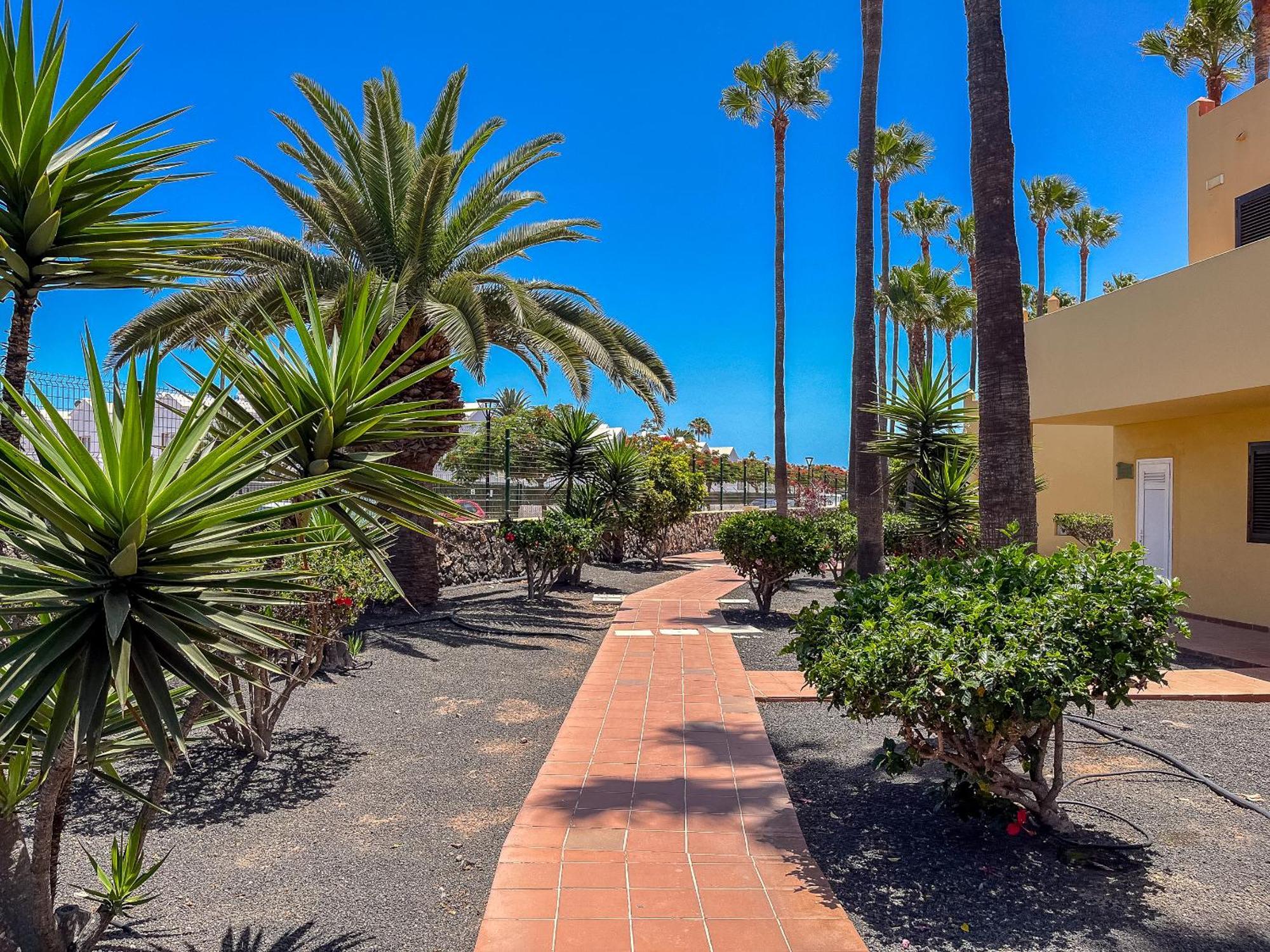 Apartamentos Oasis Royal Corralejo F314 Exterior foto